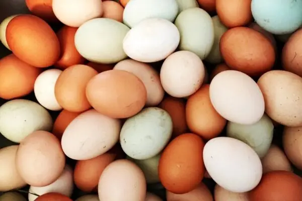 Phosphorous is an Incredibly Important Nutrient