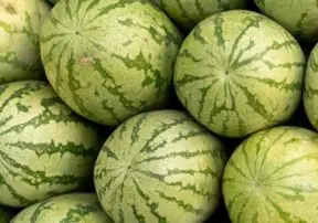 Watermelon: The Uglier, the Sweeter!