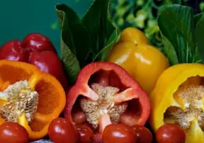 Nightshades – Inflammatory or Anti – Inflammatory?