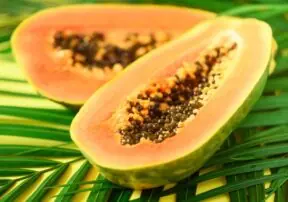Papaya – A Nutritious Tropical Treat!