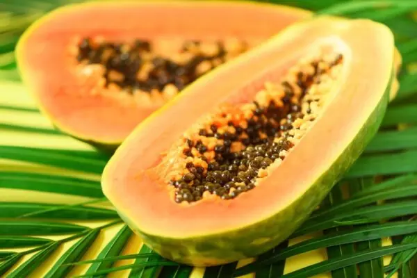 Papaya – A Nutritious Tropical Treat!