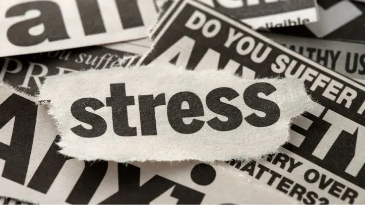 Scraps of newspaper - with the top piece highlighting the word stress