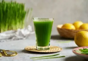 Are Wellness Shots Worth the Hype?