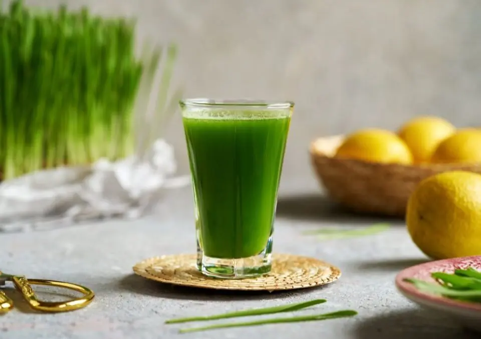 Are Wellness Shots Worth the Hype?