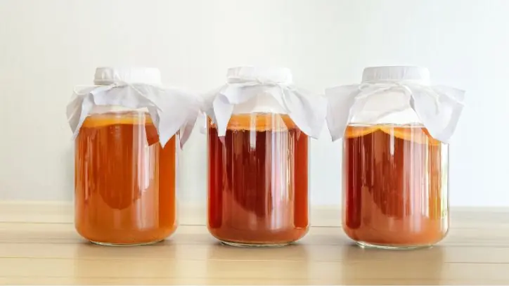 Jars of Kombucha