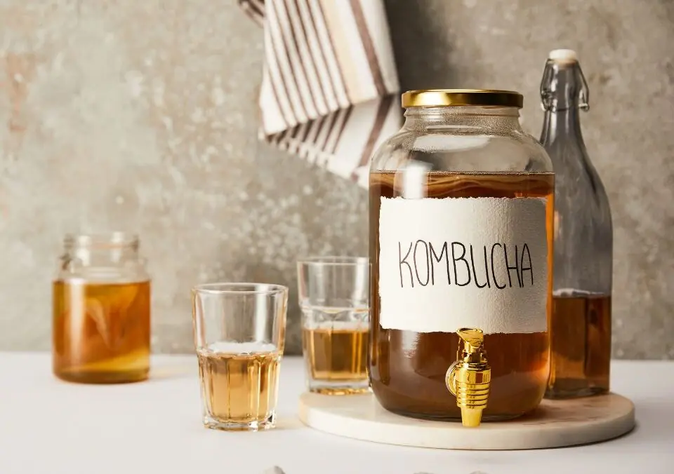 Kombucha – The Drink that Packs a Punch