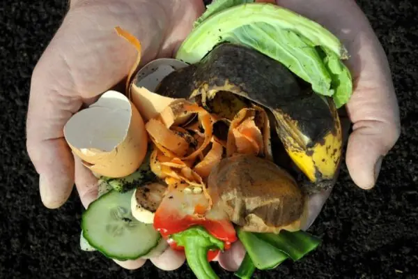 Composting is an Easy Way to Reduce Food Waste!