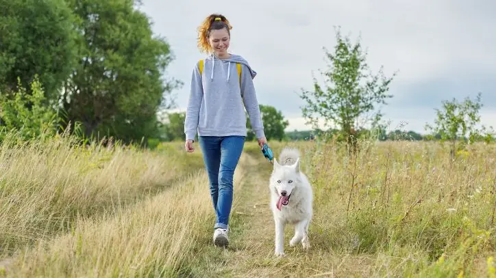 Woman walking a dog