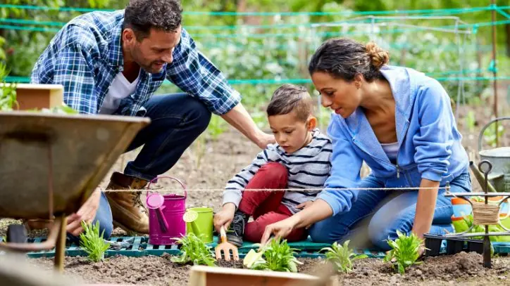 Family gardening together