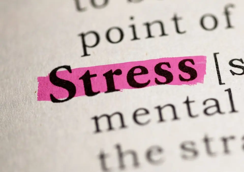 Small Amounts of Stress Can be Beneficial