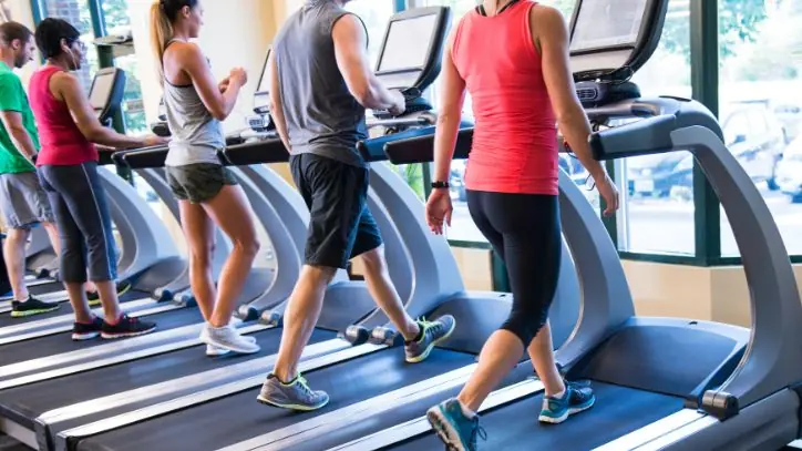 Several people exercising on treadmills
