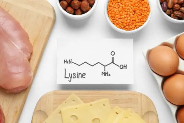 Lysine is an Important Micronutrient