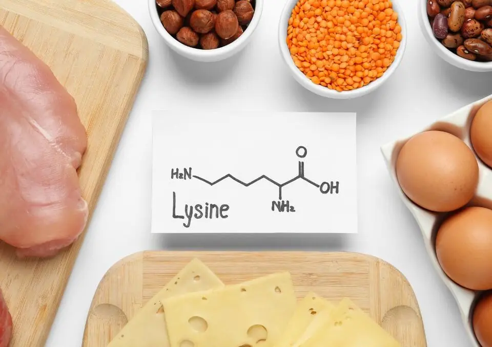 Lysine is an Important Micronutrient