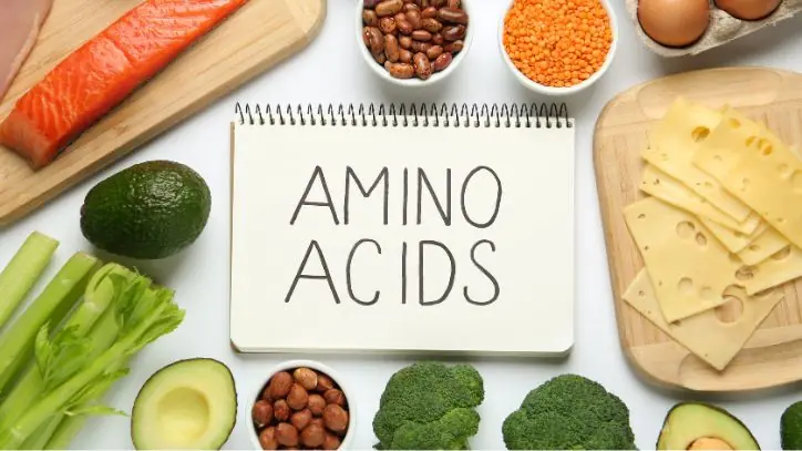 Various foods that are high in amino acids