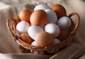 Eggs Are a Very Economical Protein Source