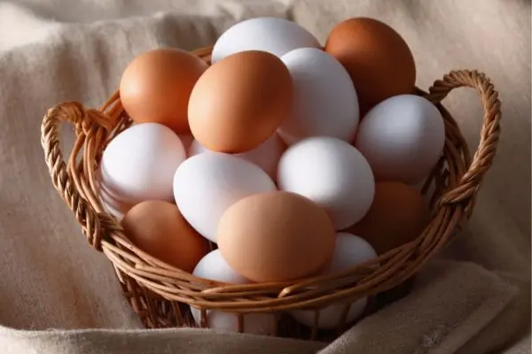 Eggs Are a Very Economical Protein Source