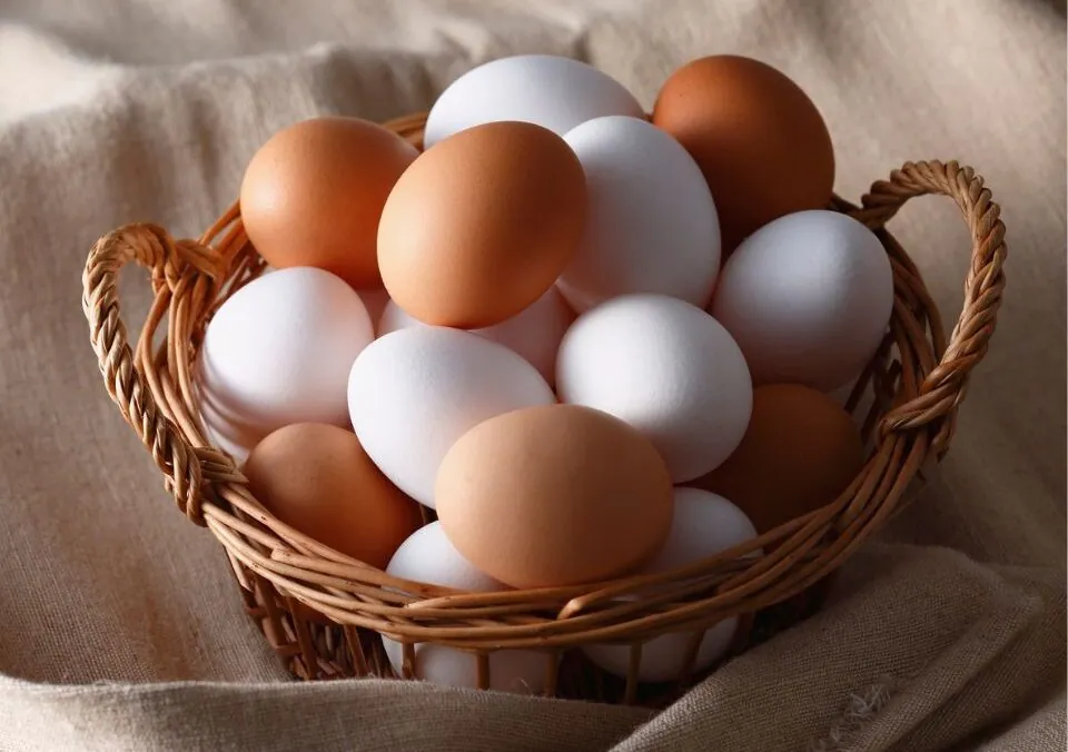 Eggs Are a Very Economical Protein Source