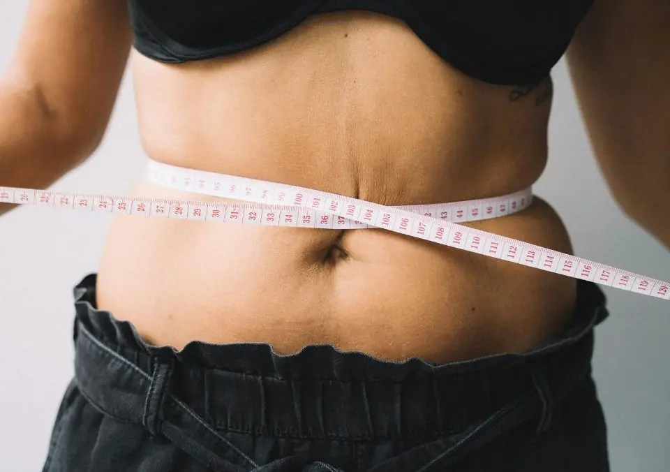 Overview of Diets Part 3 – The Paleo, Dukan, and Zone Diets