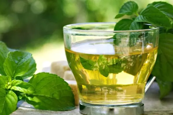 Spearmint Tea Offers Many Health Benefits