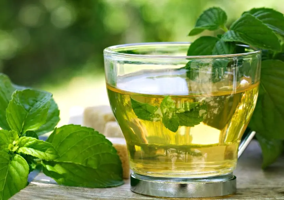 Spearmint Tea Offers Many Health Benefits