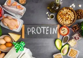 Plant Protein Vs. Animal Protein – Main Differences