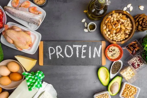Plant Protein Vs. Animal Protein – Main Differences