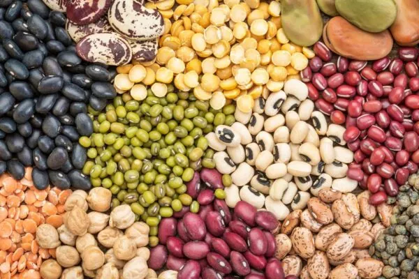 Beans Provide Lots of Nutrients and Health Benefits