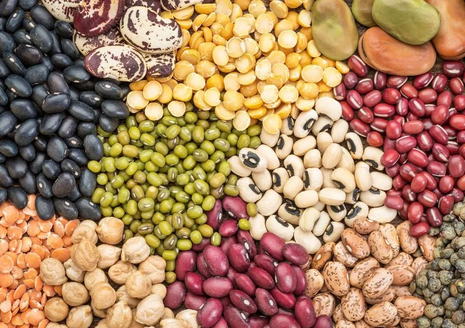 Beans Provide Lots of Nutrients and Health Benefits