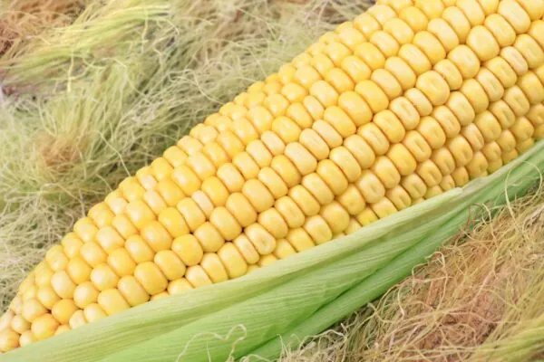 Corn Silks are Packed with Nutrients