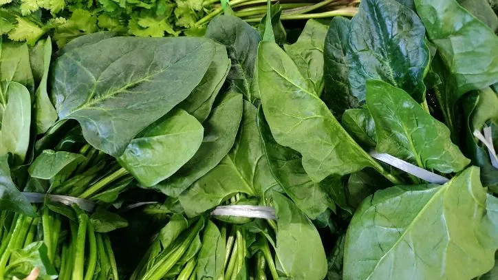 Collared Greens
