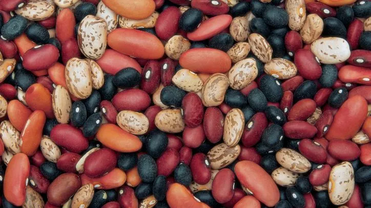 various beans mixed together and spread out