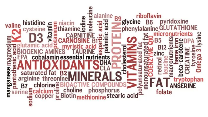 Collage of words that all respresent various vitamins and minerals in beef