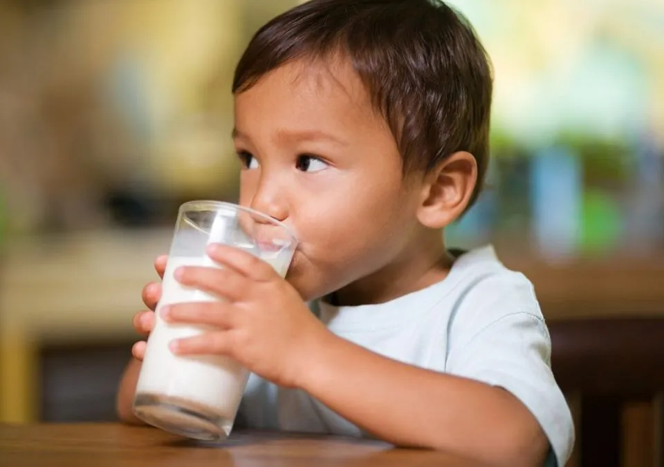 Dairy 101 – Importance of Milk on Childhood Development