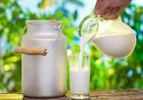 Dairy 101 – A Closer Look at Milk’s Nutritional Benefits