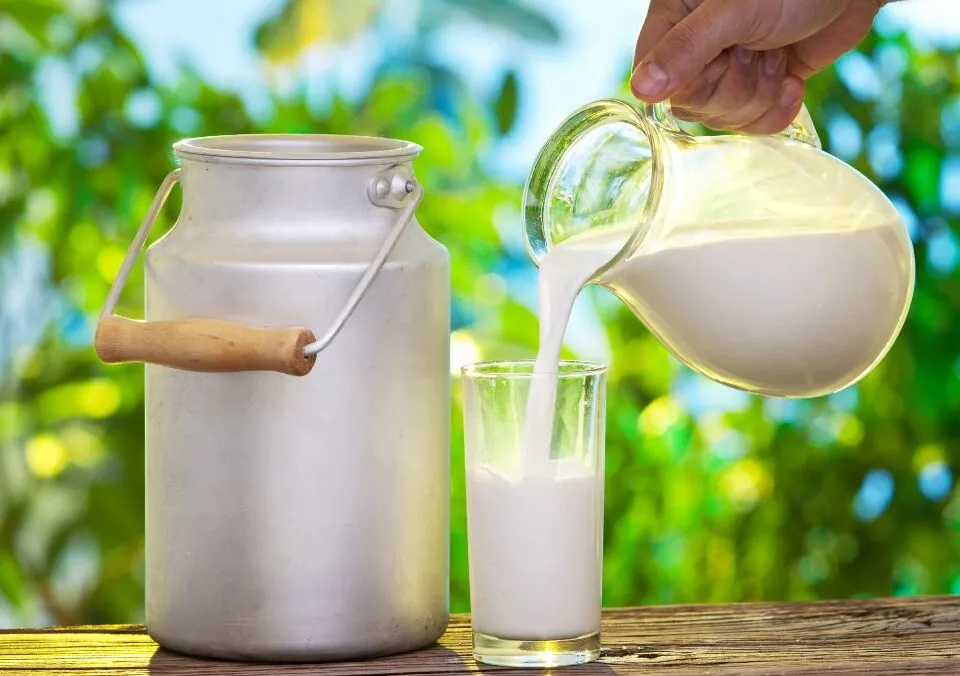Dairy 101 – A Closer Look at Milk’s Nutritional Benefits