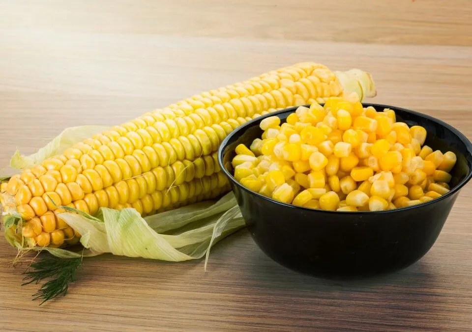Sweet Corn: A Nutritious Summer Staple!