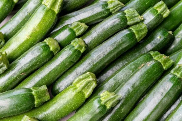 Zucchini – A Versatile and Nutritious Veggie!
