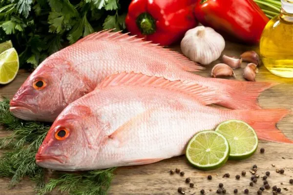 Select Fish as Your Protein of Choice