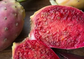 Prickly Pear Cactus are Hydrating and Nutritious