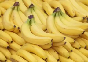 Time Your Bananas Right!
