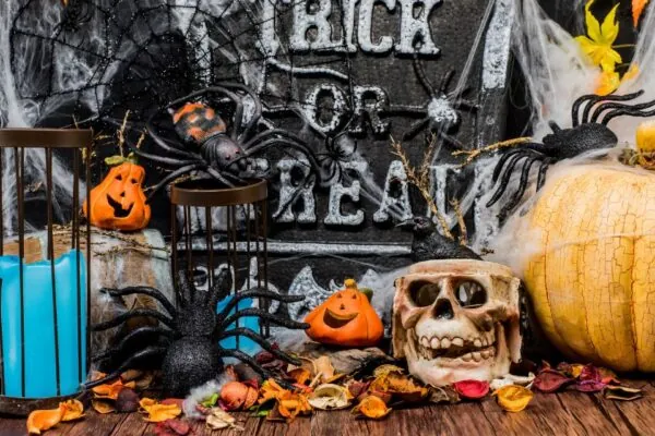 Fun Trick or Treating Alternatives