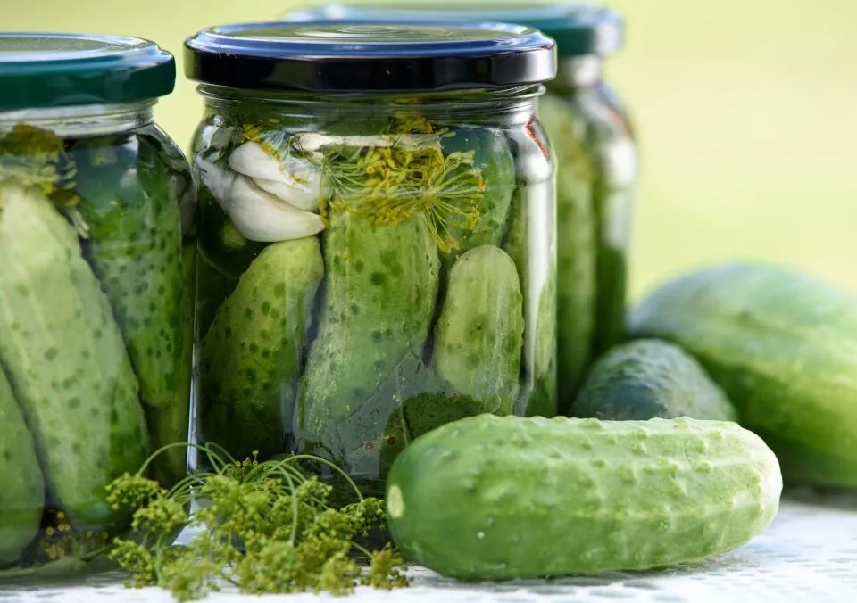 Pickles – A Crunchy, Salty, Snack!
