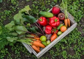 Enjoy Summer Produce Through the Colder Months!
