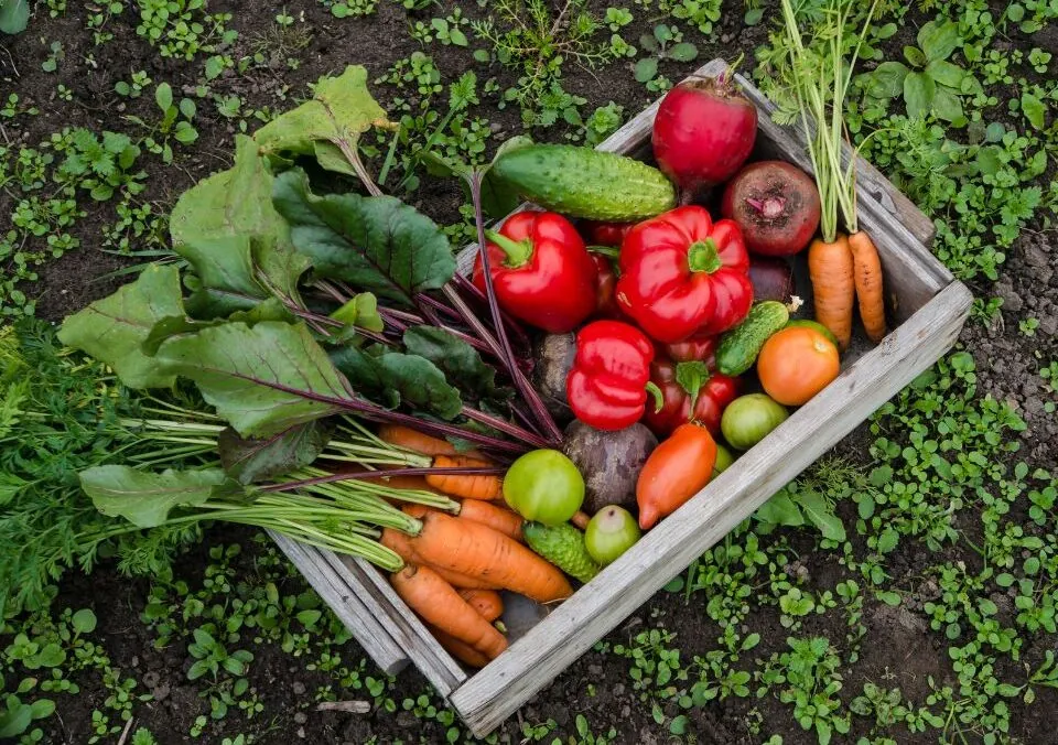 Enjoy Summer Produce Through the Colder Months!