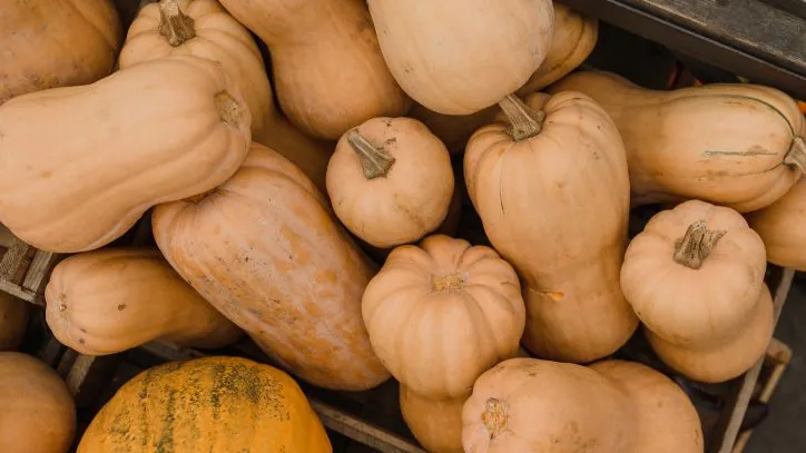Pile of Butternut Squash