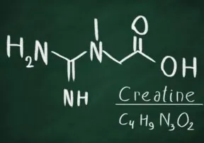 Creatine Isn’t Just for Athletes!