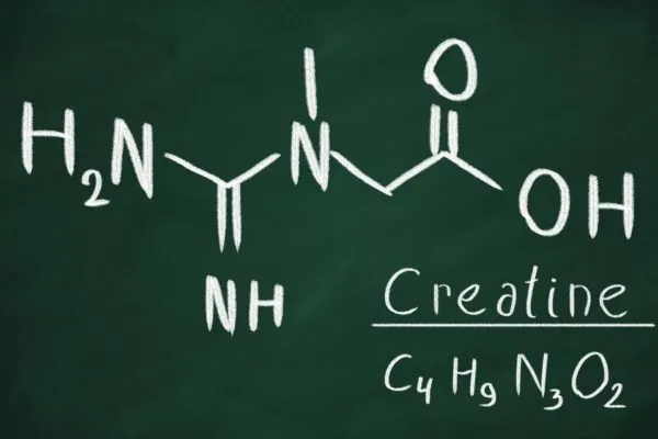 Creatine Isn’t Just for Athletes!