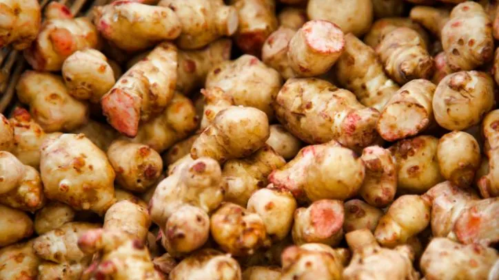 basket full of sunchokes