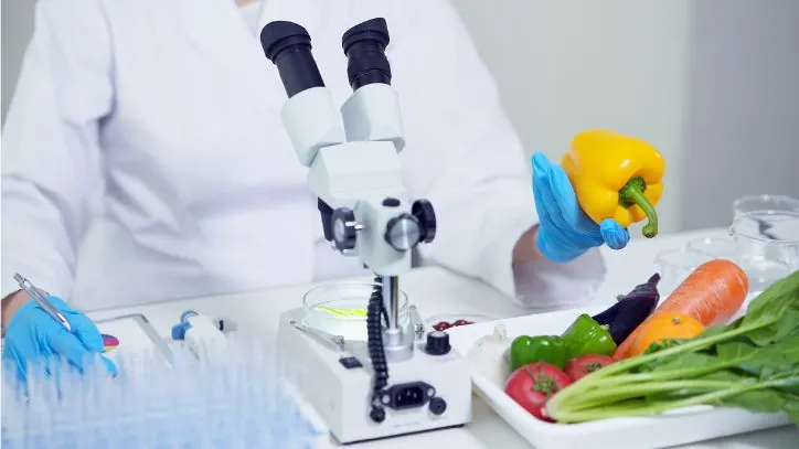 Scientist exampining a yellow bell pepper in a labratory