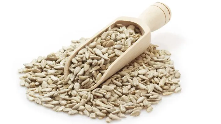 Wooden scoop filled with sunflower seeds